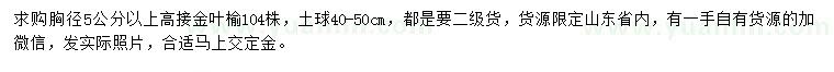 求購(gòu)胸徑5公分以上高接金葉榆