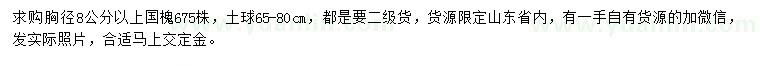 求購(gòu)胸徑8公分以上國(guó)槐