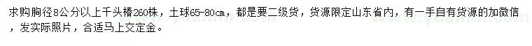 求購胸徑8公分以上千頭椿