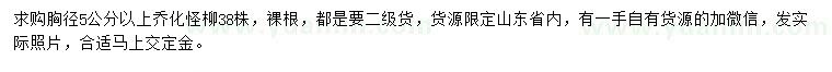 求購胸徑5公分以上喬化怪柳