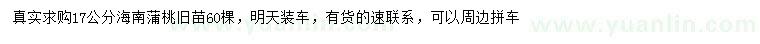 求購(gòu)17公分海南蒲桃