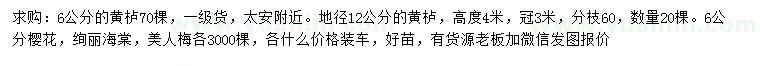 求購黃櫨、櫻花、絢麗海棠等
