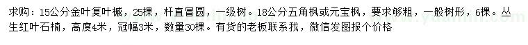 求購(gòu)金葉復(fù)葉槭、五角楓、元寶楓等