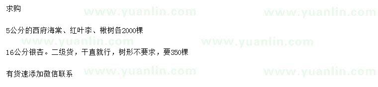 求購(gòu)西府海棠、紅葉李、楸樹等