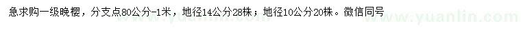 求購地徑10、14公分晚櫻