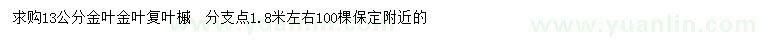 求購(gòu)13公分金葉金葉復(fù)葉槭