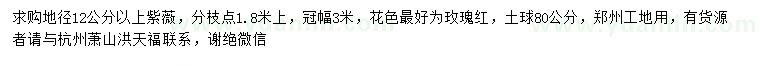 求購地徑12公分以上紫薇