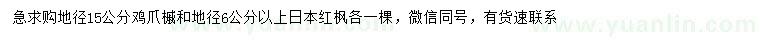 求購地徑15公分雞爪槭、地徑6公分以上日本紅楓