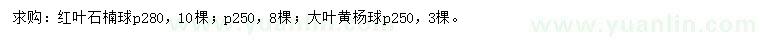 求購冠250、280公分紅葉石楠球、冠250公分大葉黃楊球