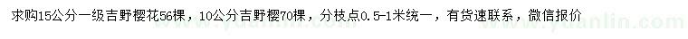 求購10、15公分吉野櫻