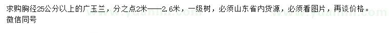 求購(gòu)胸徑25公分以上廣玉蘭