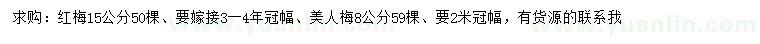 求購(gòu)15公分紅梅、8公分美人梅