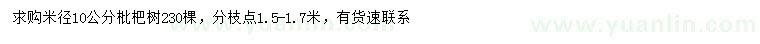 求購米徑10公分枇杷樹