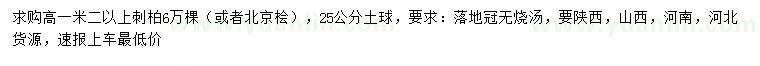 求購高1.2米以上刺柏