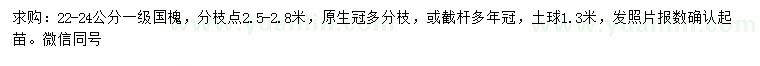 求購22-24公分國(guó)槐