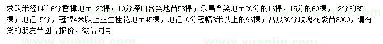 求購(gòu)香樟、深山含笑、樂昌含笑等