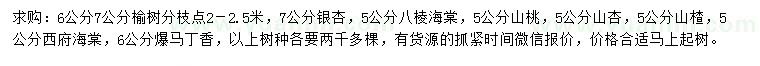 求購榆樹、銀杏、八棱海棠等