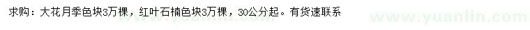 求購(gòu)30公分以上大花月季、紅葉石楠