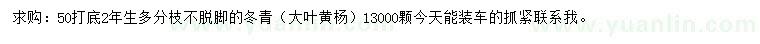 求購50公分打底冬青
