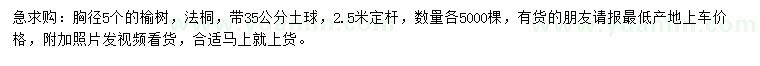 求購胸徑5公分榆樹、法桐