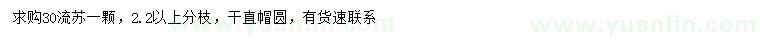 求購30公分流蘇