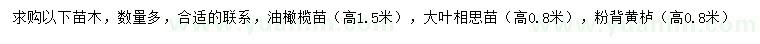 求購(gòu)油橄欖、大葉相思、粉背黃櫨