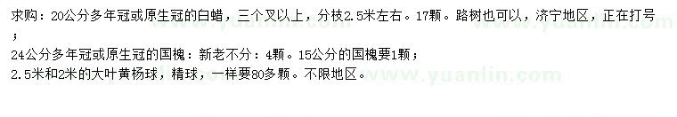 求購(gòu)白蠟、國(guó)槐、大葉黃楊球