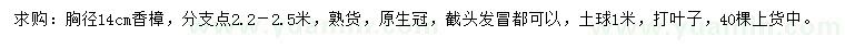 求購胸徑14公分香樟