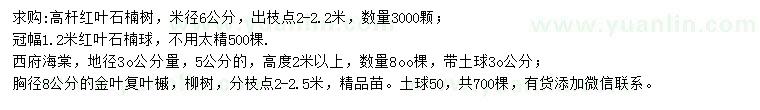 求購紅葉石楠、西府海棠、金葉復葉槭等