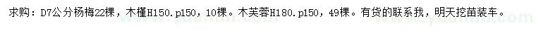 求購地徑7公分楊梅、高150公分木槿、高180公分木芙蓉