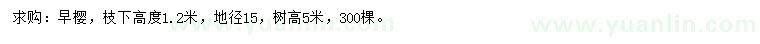 求購地徑15公分早櫻