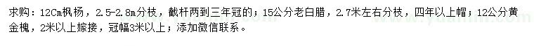 求購楓楊、老白蠟、黃金槐
