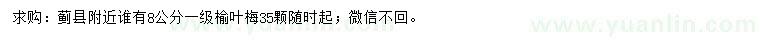 求購(gòu)8公分榆葉梅