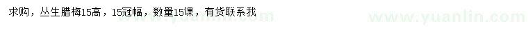 求購(gòu)高15公分叢生臘梅