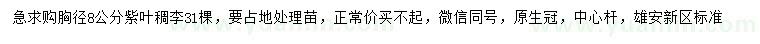 求購胸徑8公分紫葉稠李