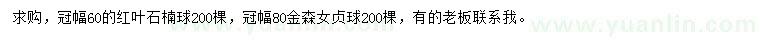 求購冠幅60公分紅葉石楠球、冠幅80公分金森女貞球