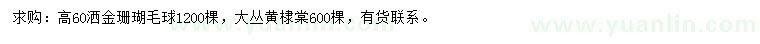 求購高60公分灑金珊瑚球、黃棣棠