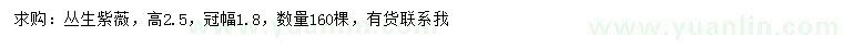 求購高2.5米叢生紫薇