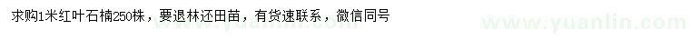 求購1米紅葉石楠