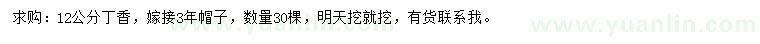 求購12公分丁香