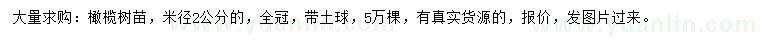 求購(gòu)米徑2公分橄欖樹(shù)