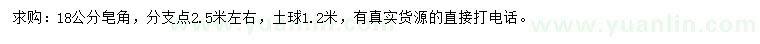 求購(gòu)18公分皂角