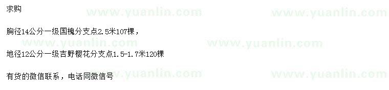 求購胸徑14公分國槐、地徑12公分吉野櫻