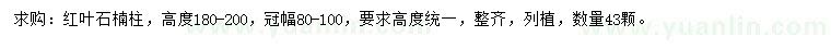 求購高180-200公分紅葉石楠柱