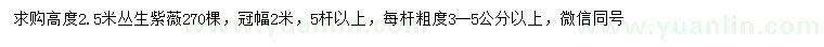求購高2.5米叢生紫薇