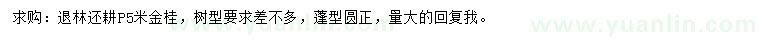 求購冠5米金桂