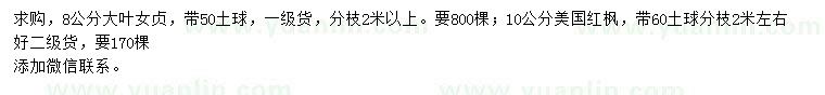 求購8公分大葉女貞、10公分美國紅楓