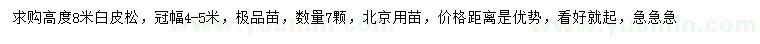 求購高8米白皮松