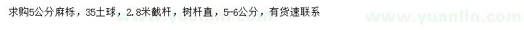 求購5公分麻櫟