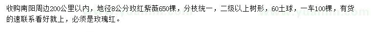 求購(gòu)地徑8公分玫紅紫薇